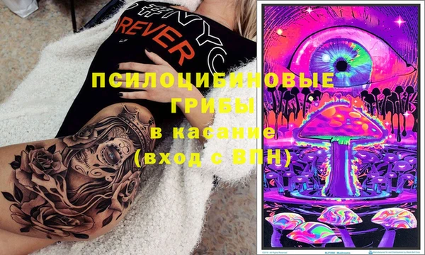 сатива Алексин