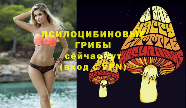 сатива Алексин