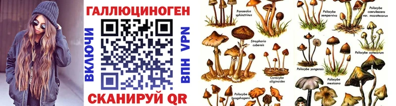 закладка  Новая Ляля  Псилоцибиновые грибы MAGIC MUSHROOMS 